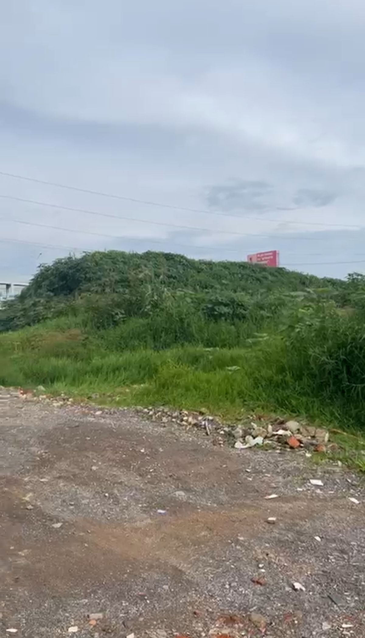 6 de 9