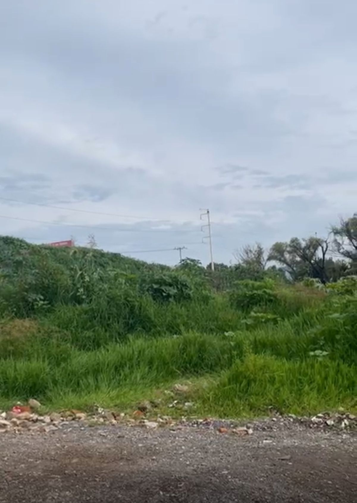 8 de 9