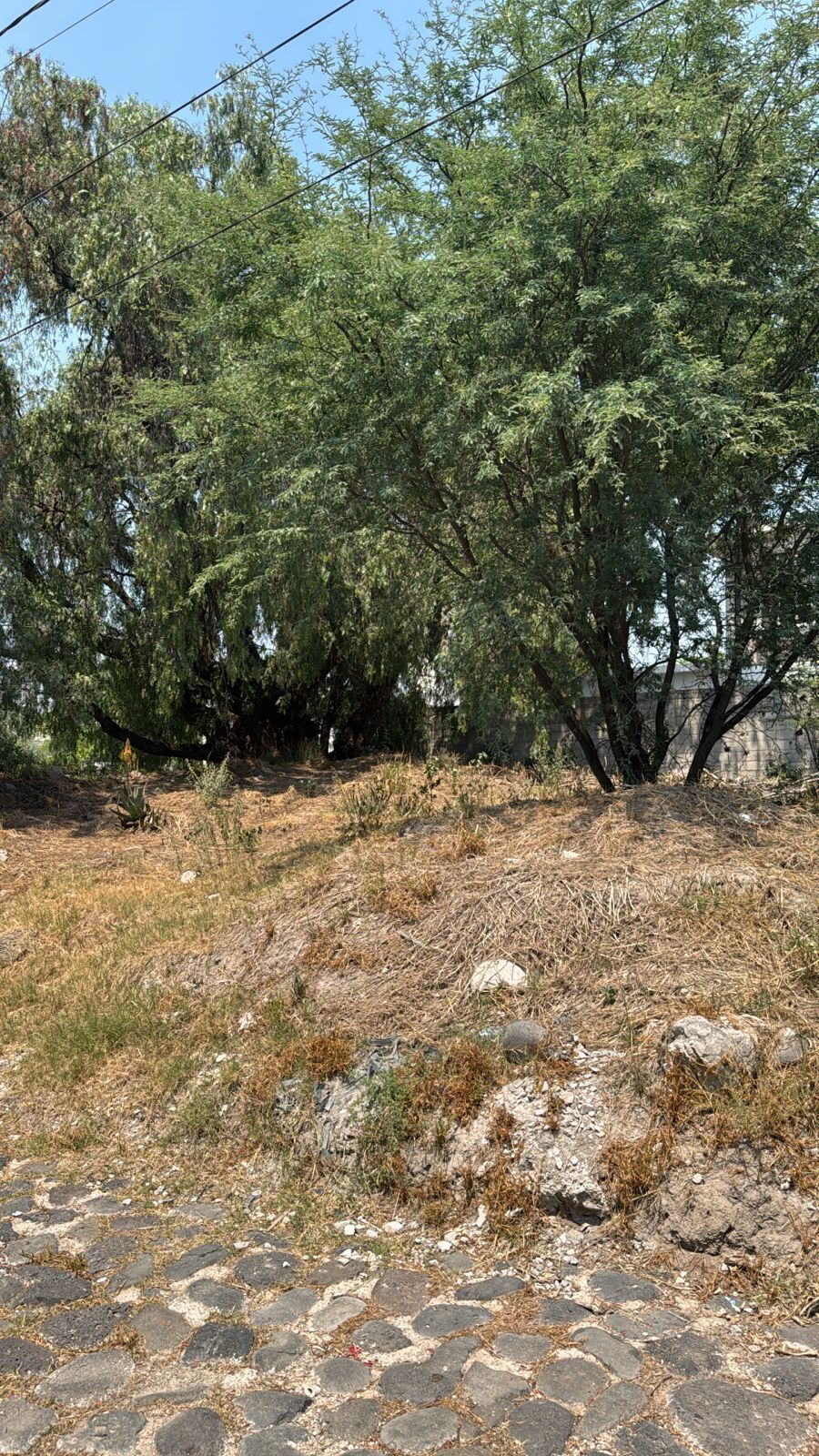 4 de 7