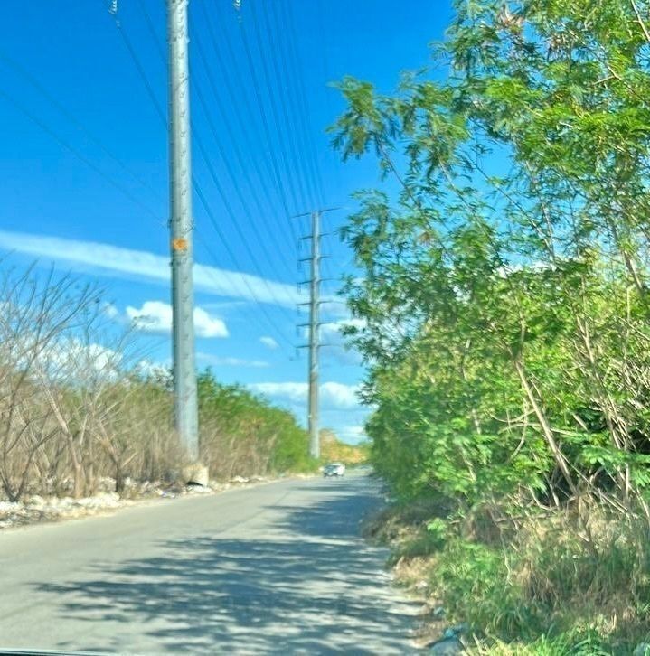3 de 7