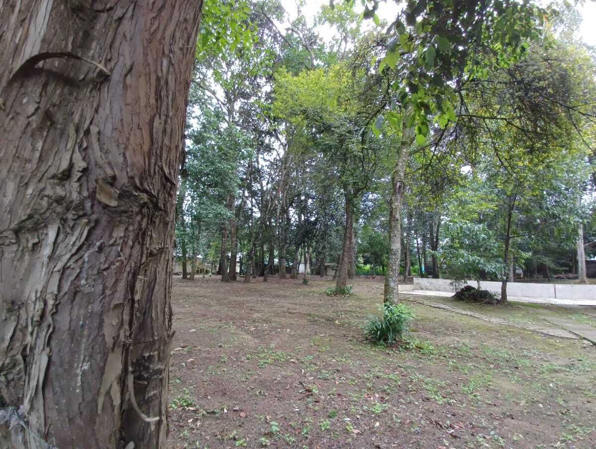 1 de 6