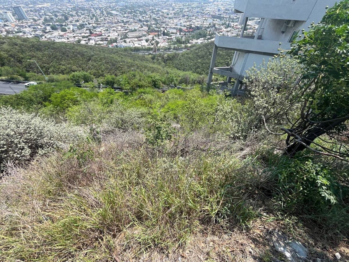4 de 8