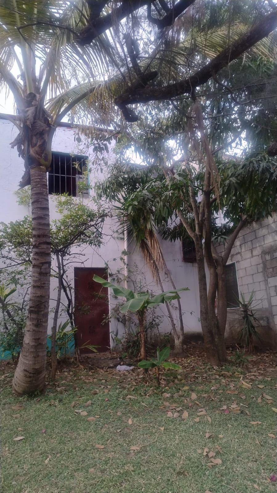 2 de 3