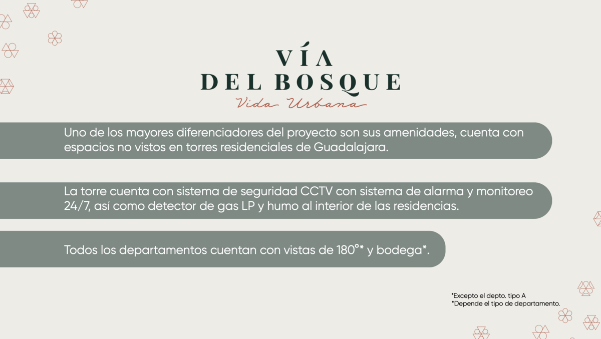 Imagen 6 de 10
