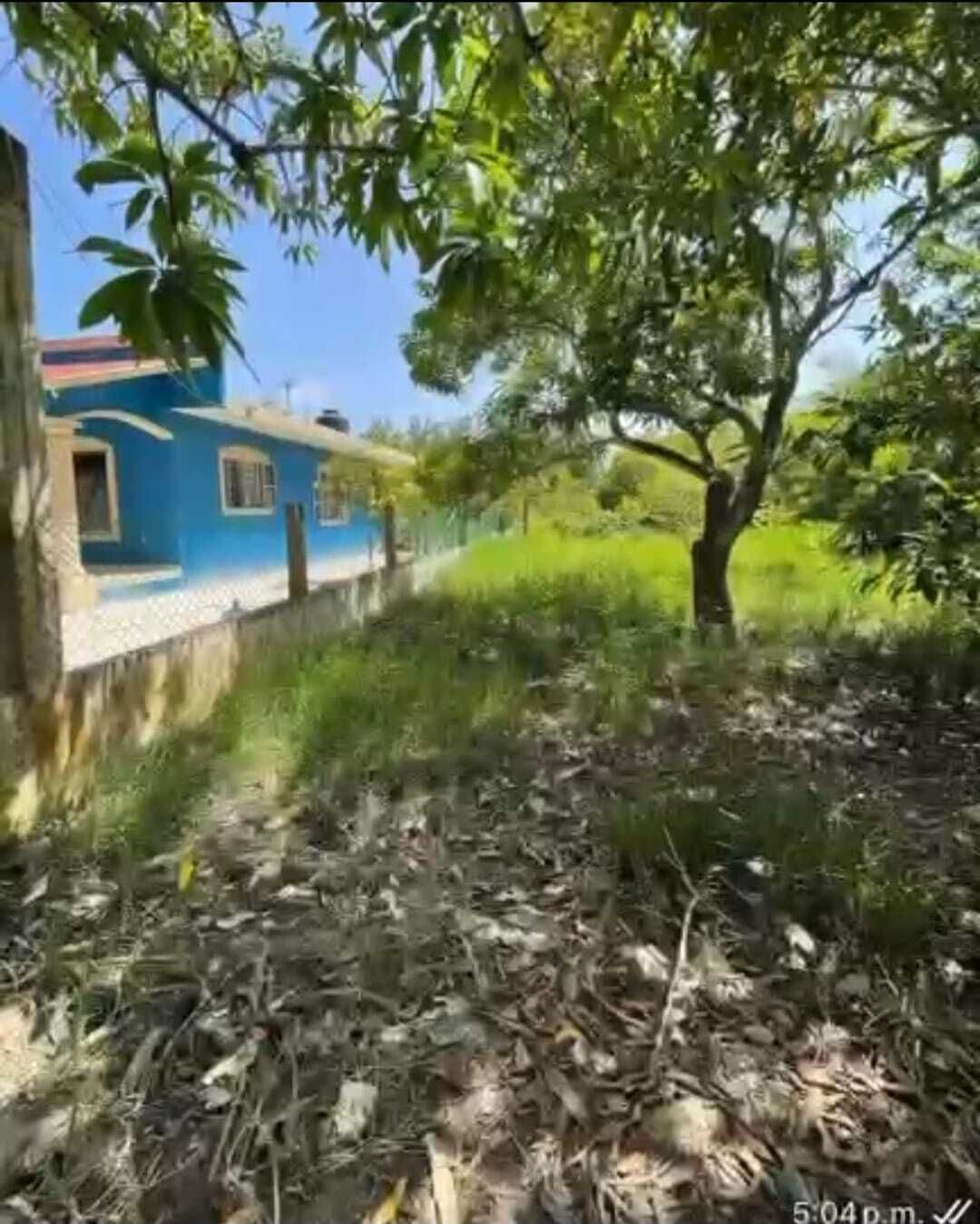 4 de 7