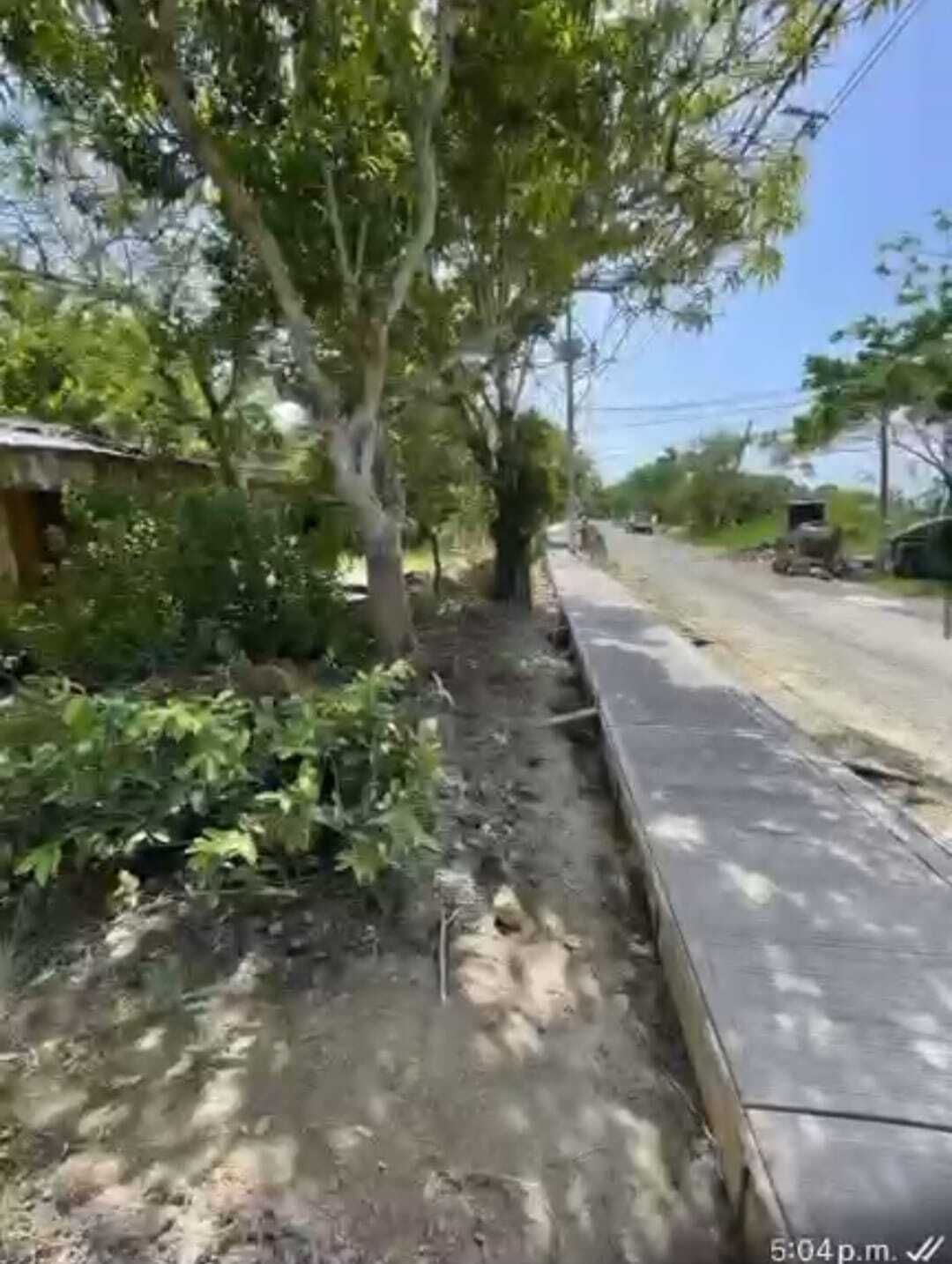 4 de 7