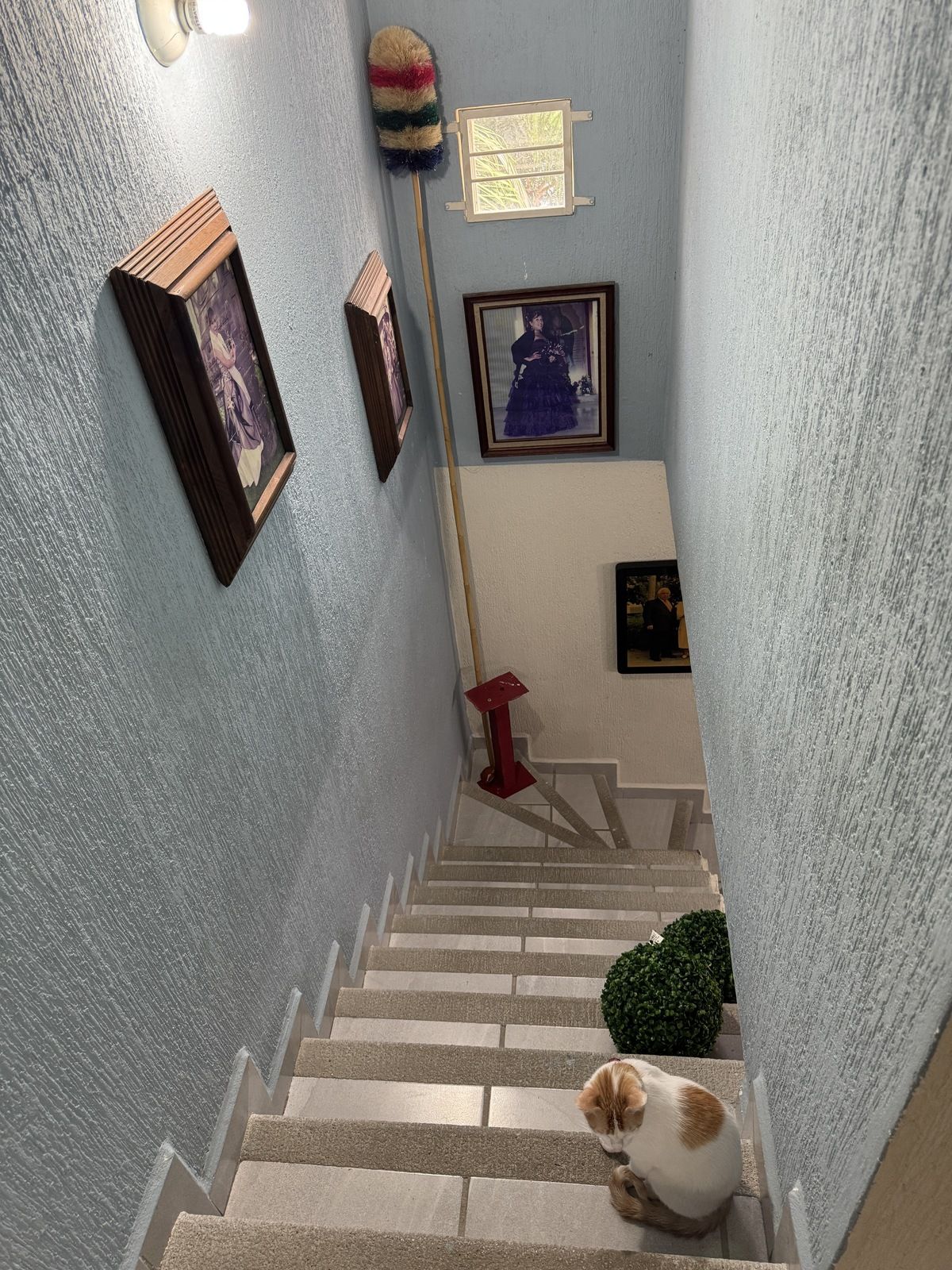13 de 18