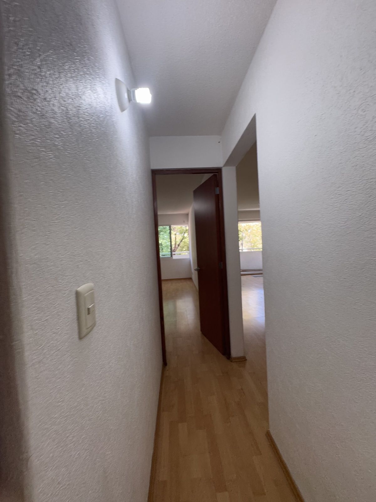 https://assets.easybroker.com/property_images/5241208/901916