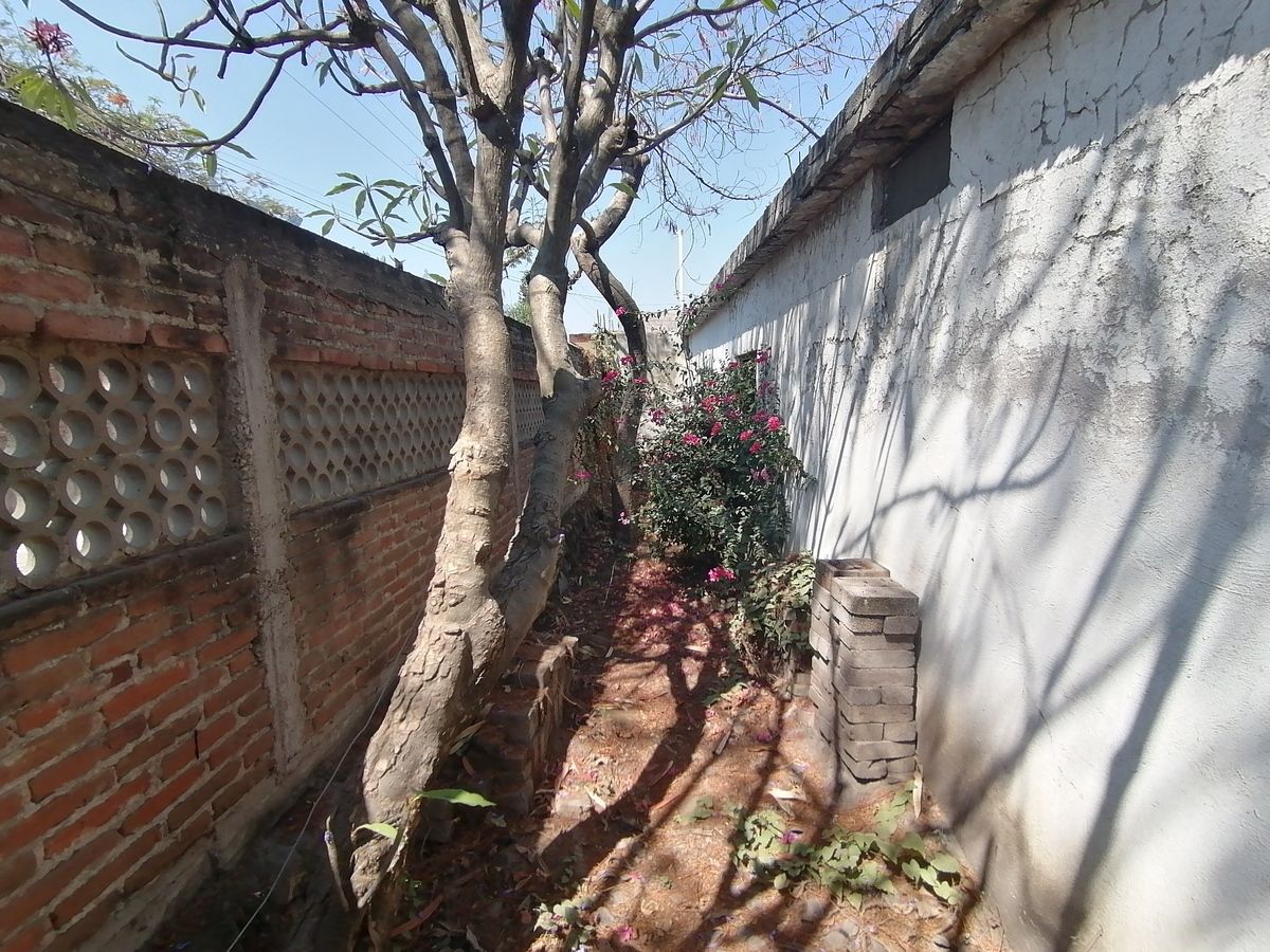 11 de 17