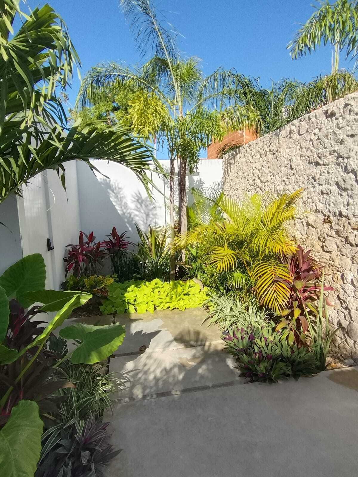 12 de 14