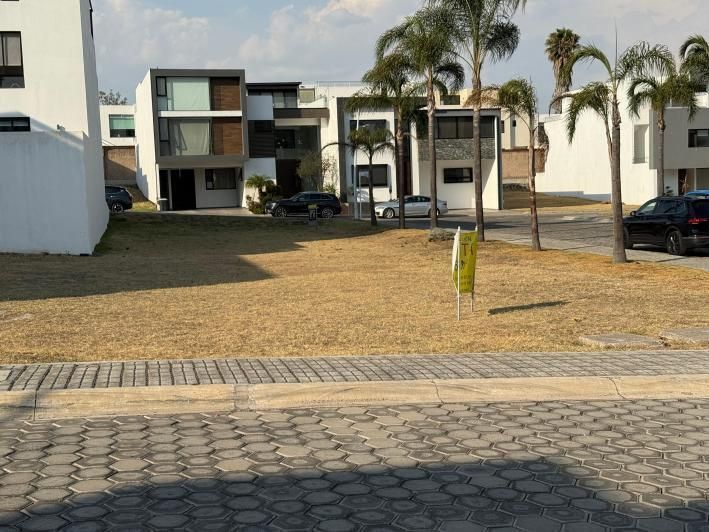 Imagen 2 de 6