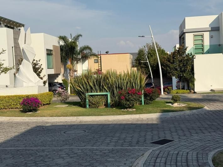 Imagen 5 de 6