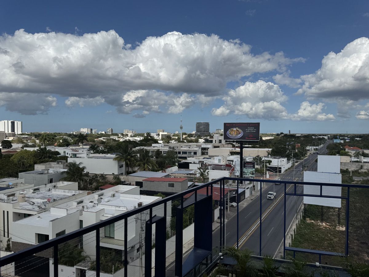 23 de 24
