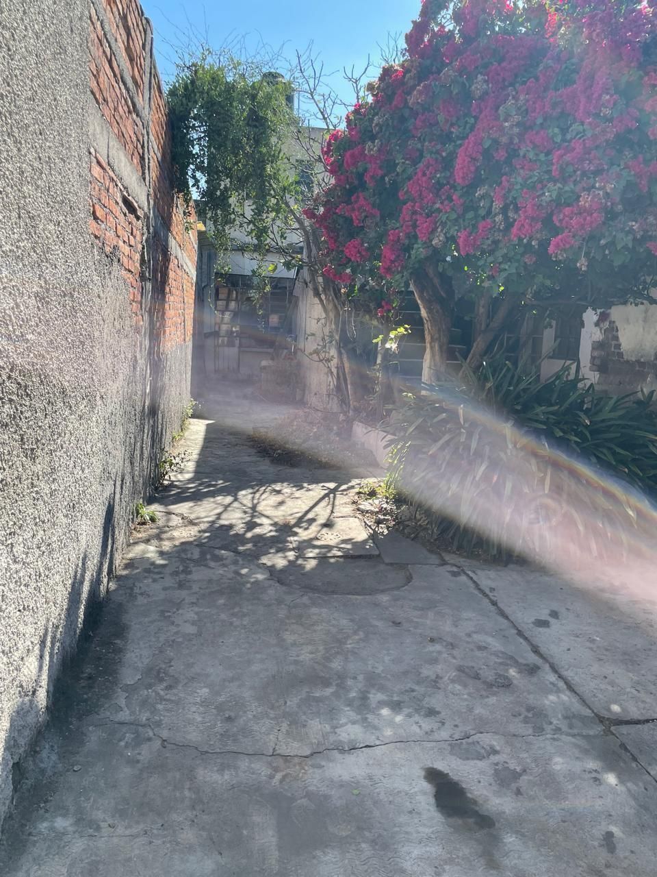 4 de 10