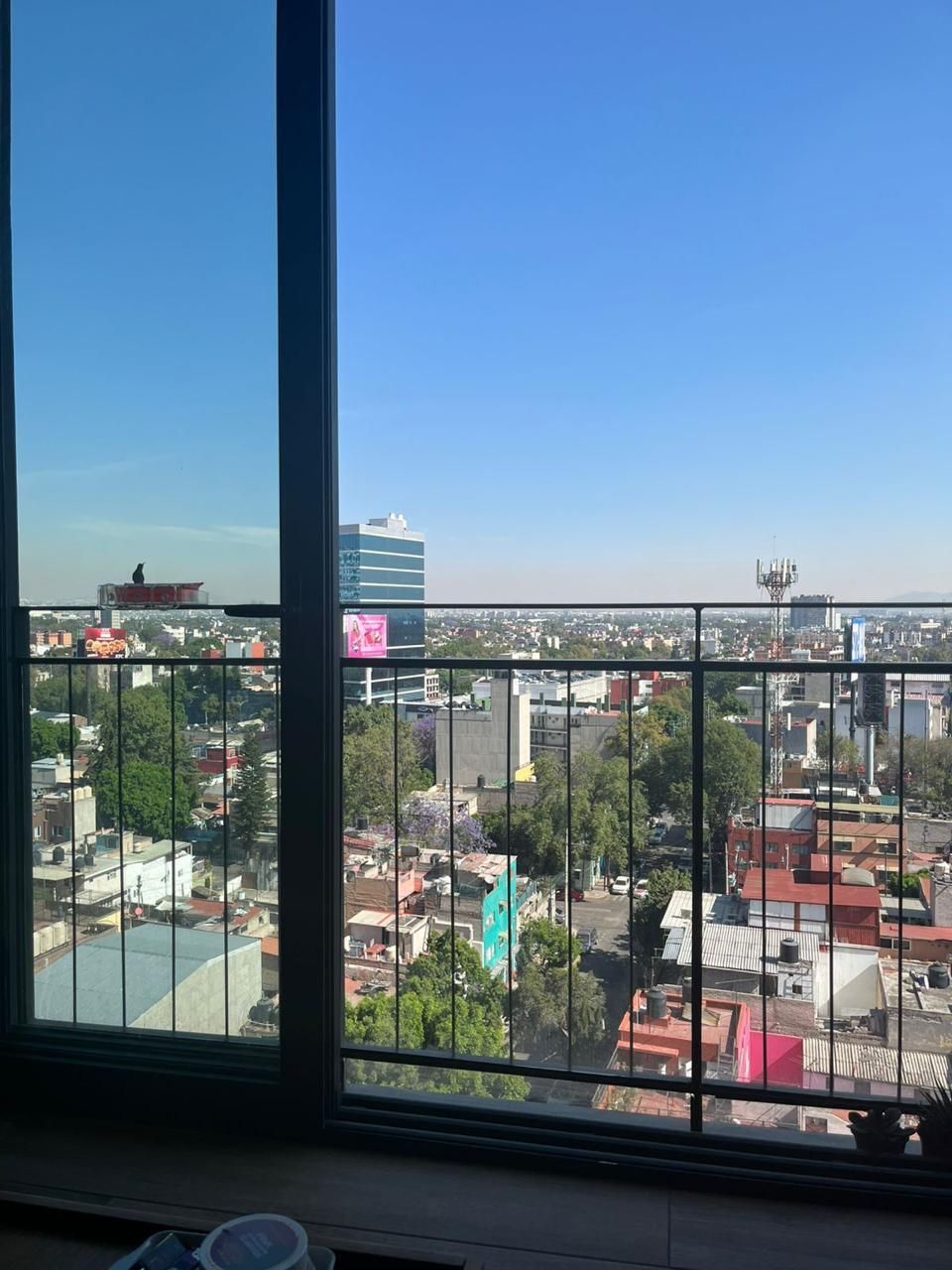 6 de 11