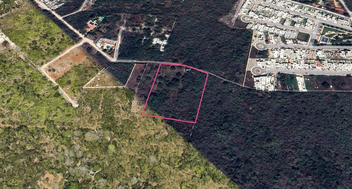 Terreno en Cholul ideal para desarrollar - foto 1