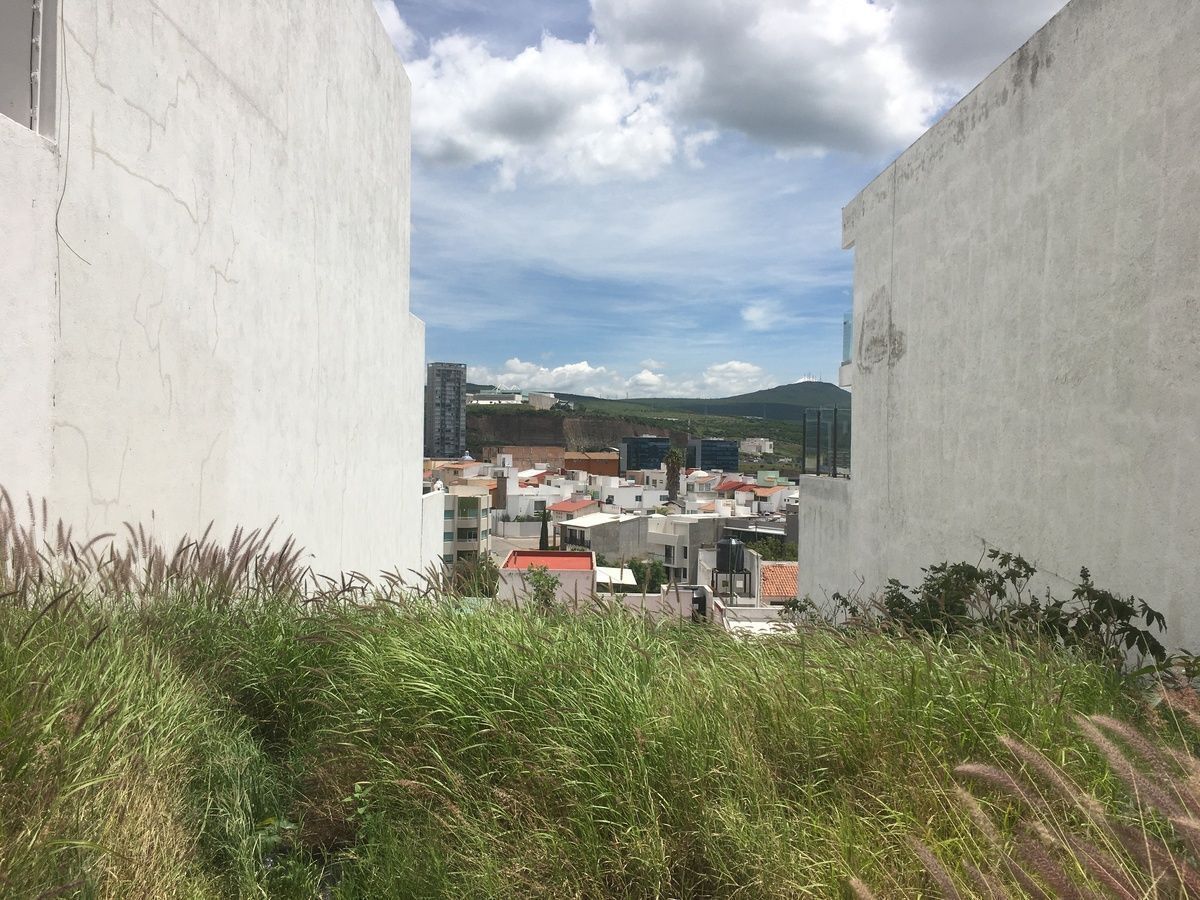 5 de 6