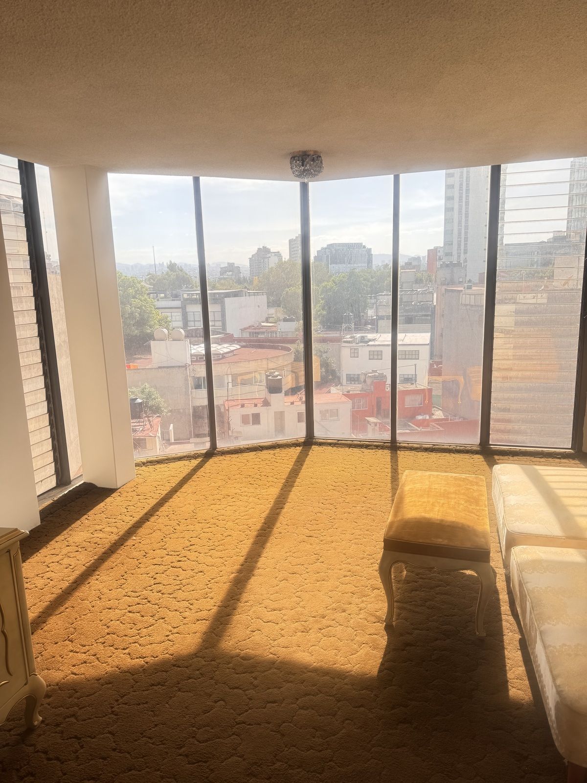 6 de 29