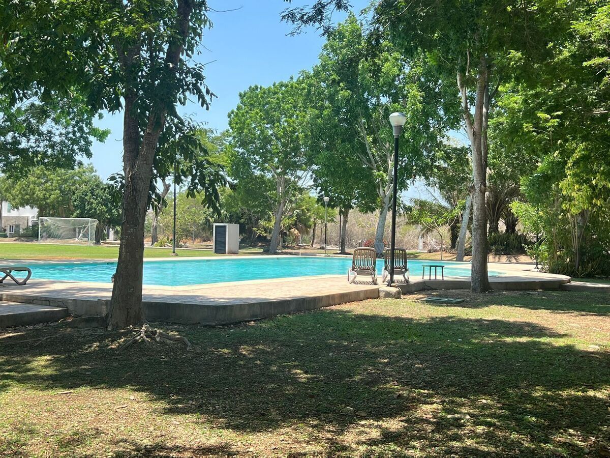 5 de 8