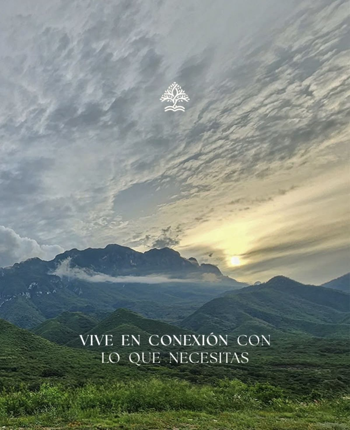Imagen 7 de 8