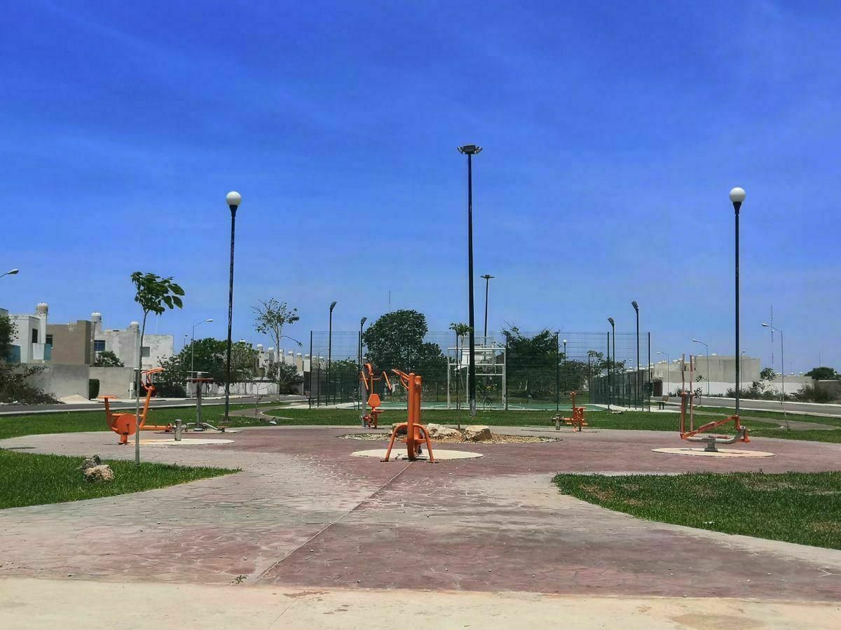 11 de 12