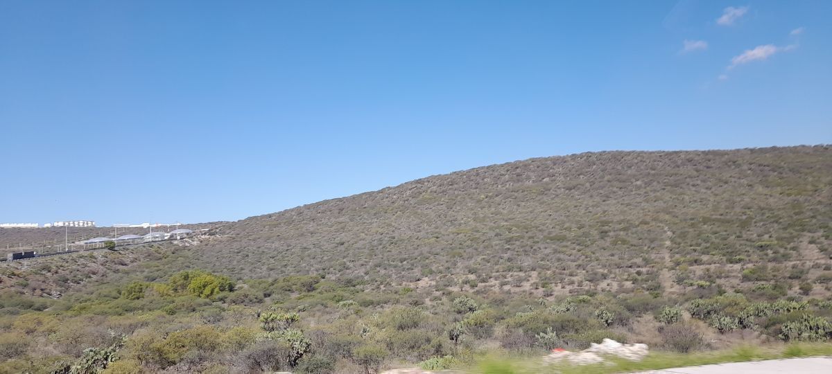11 de 26