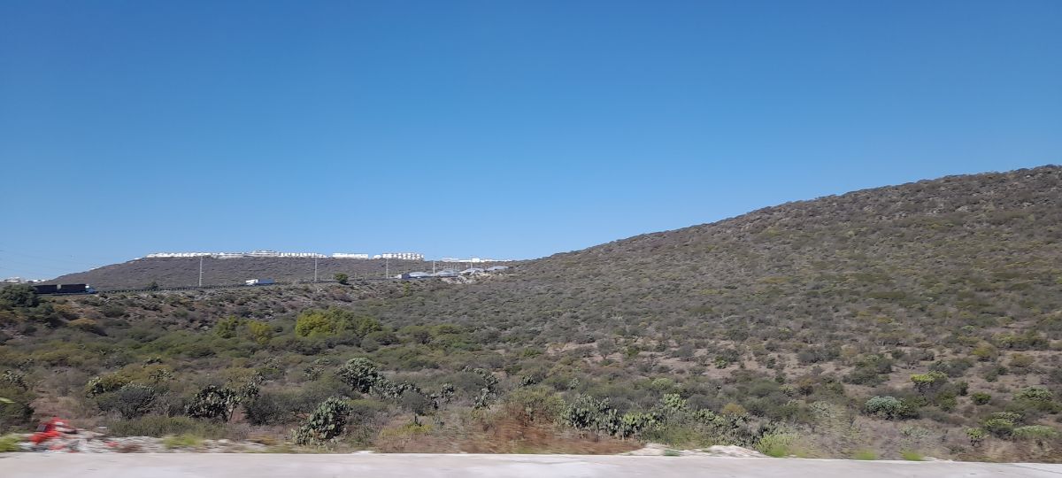 12 de 26