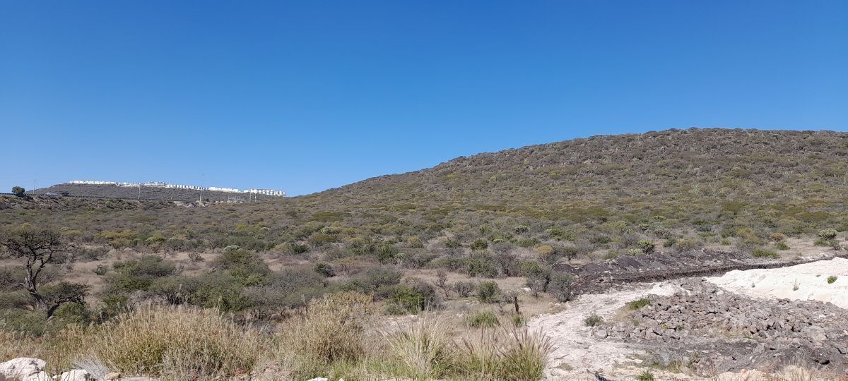 14 de 26