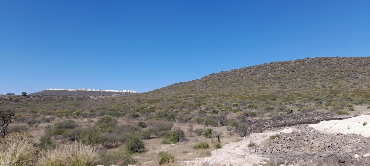 16 de 26