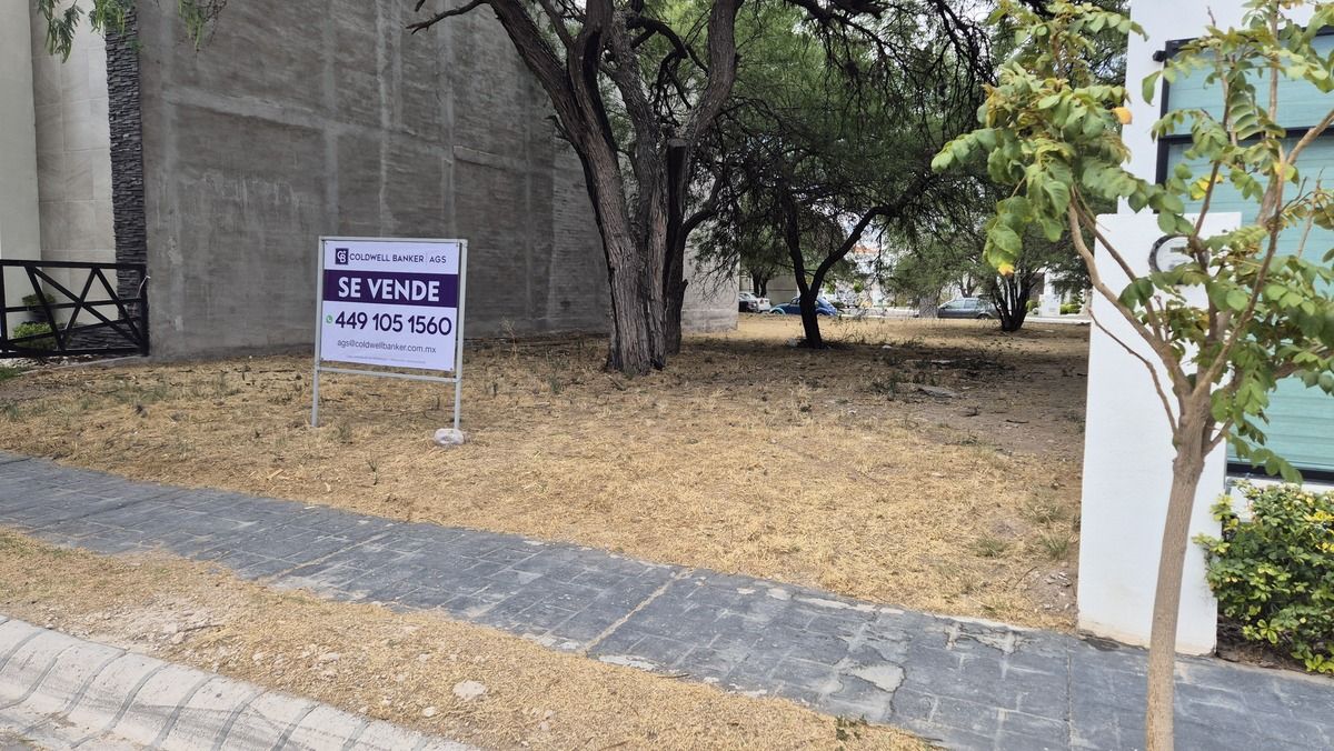 Imagen 3 de 8