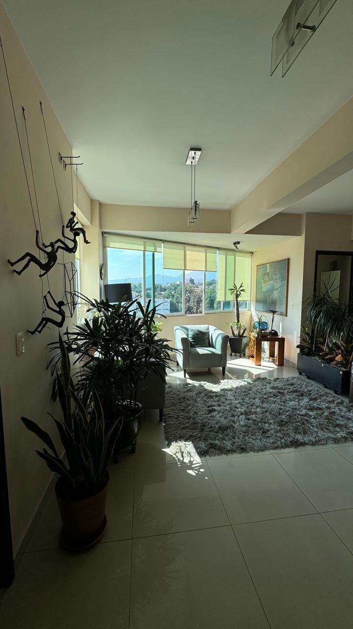 3 of 19: Departamento en Venta en Desierto de los Leones Rayo Vende ®