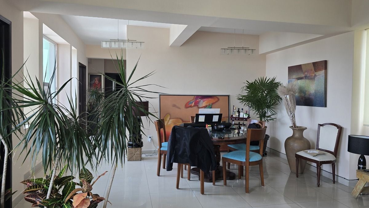 6 de 19: Departamento en Venta en Desierto de los Leones Rayo Vende ®