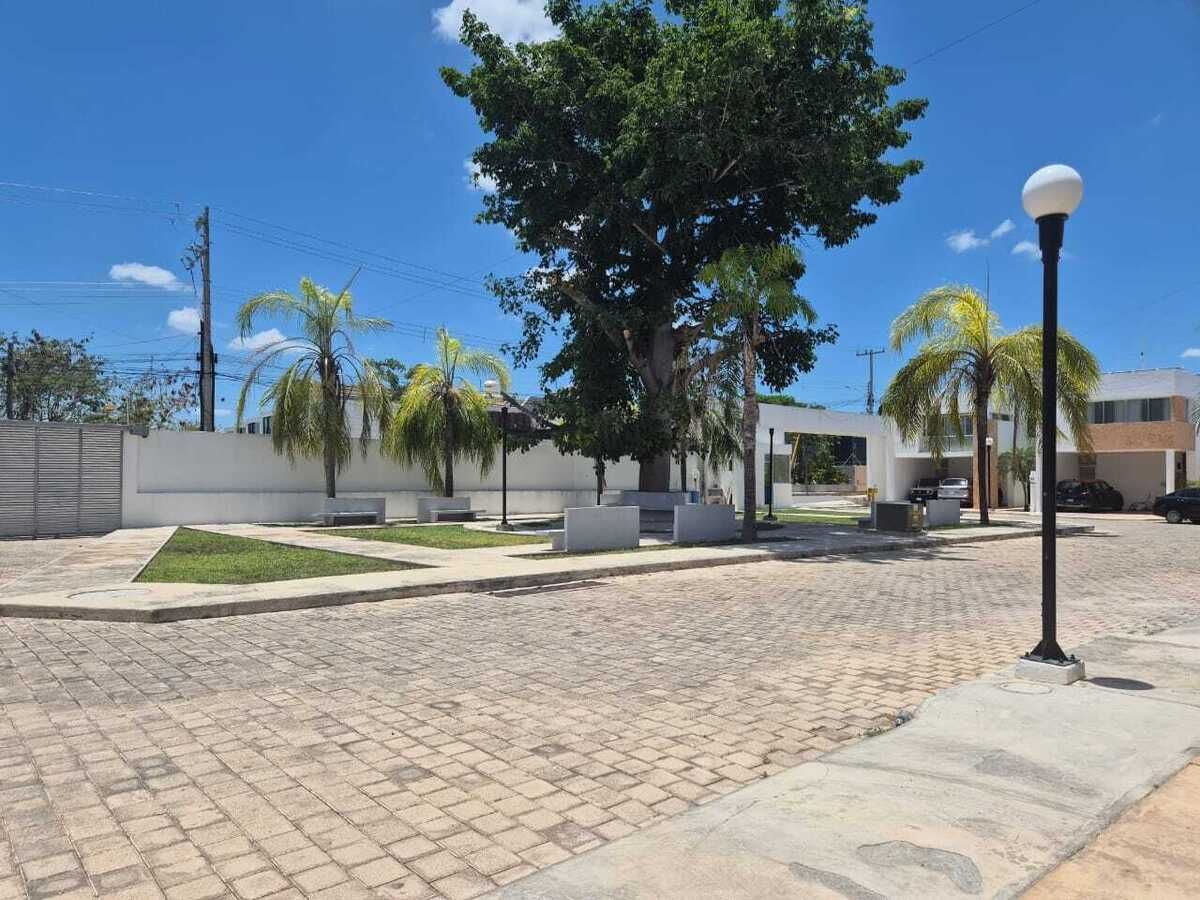19 de 19