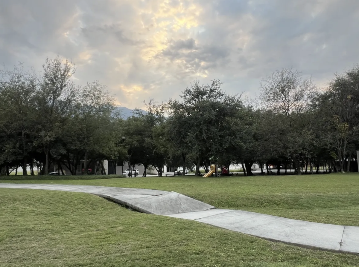 7 de 21