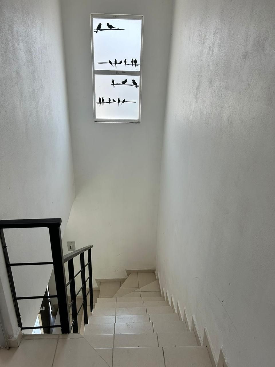 5 de 8