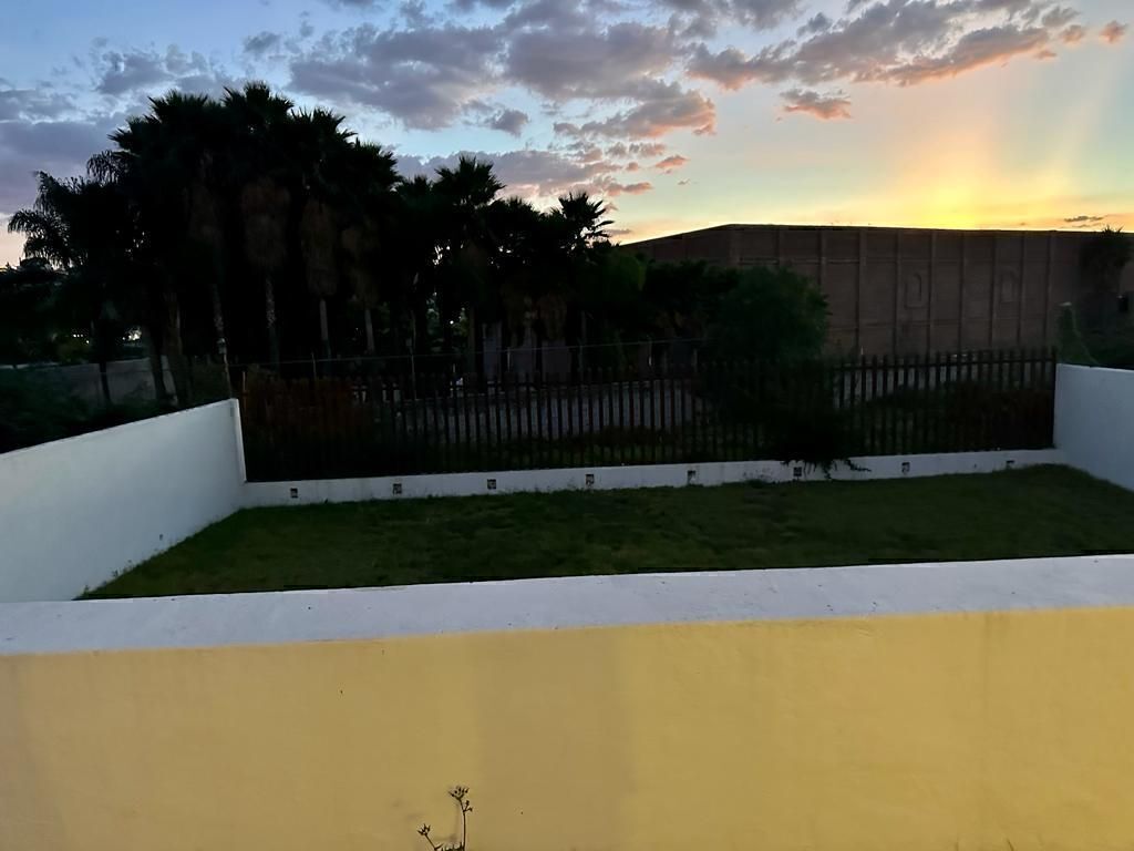 11 de 31