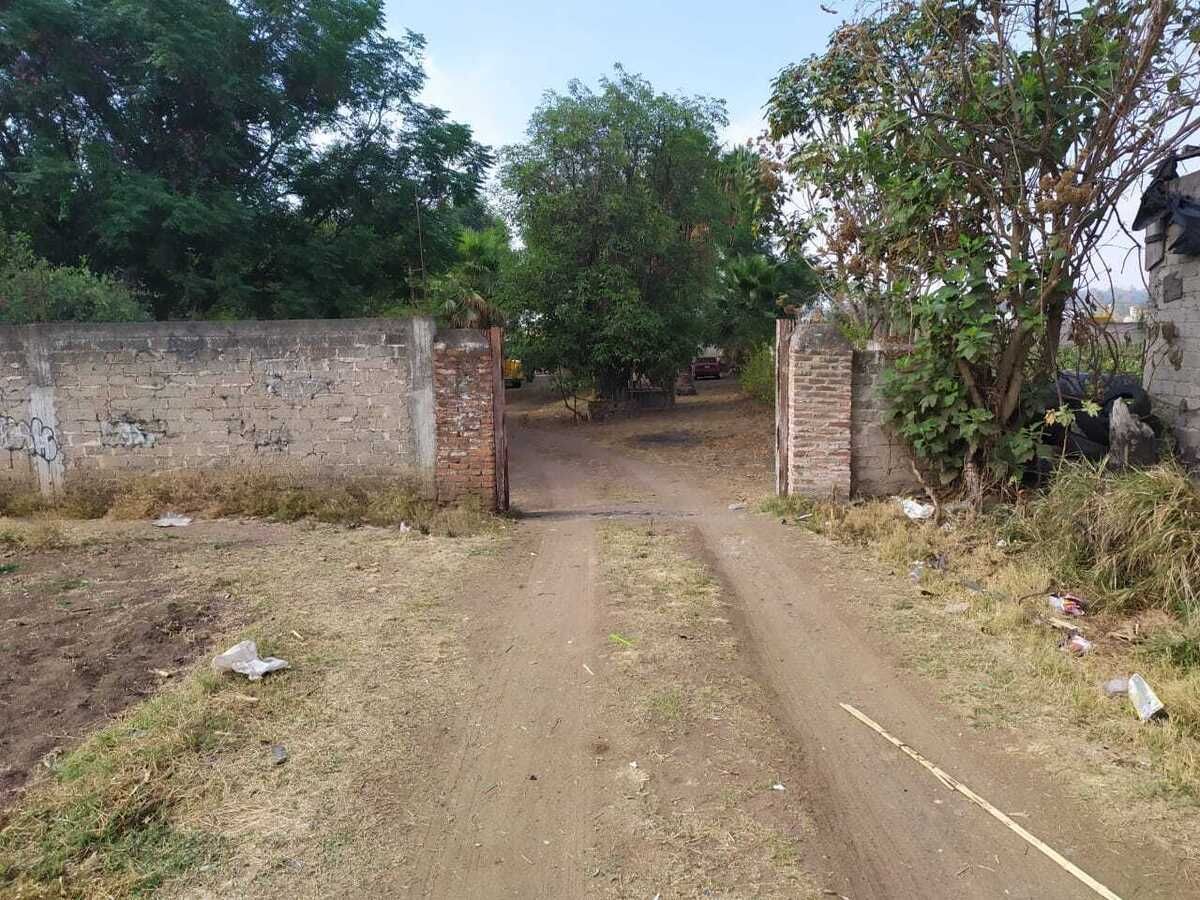 Land for Sale in San Martín de las Flores – Ideal for Residential Development - foto 3