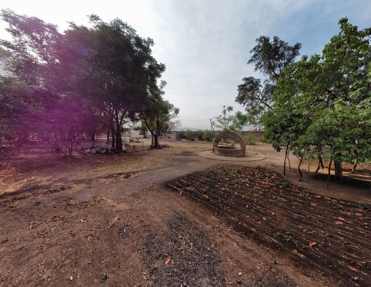Land for Sale in San Martín de las Flores – Ideal for Residential Development - foto 4