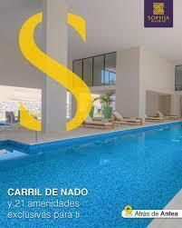 3 de 19