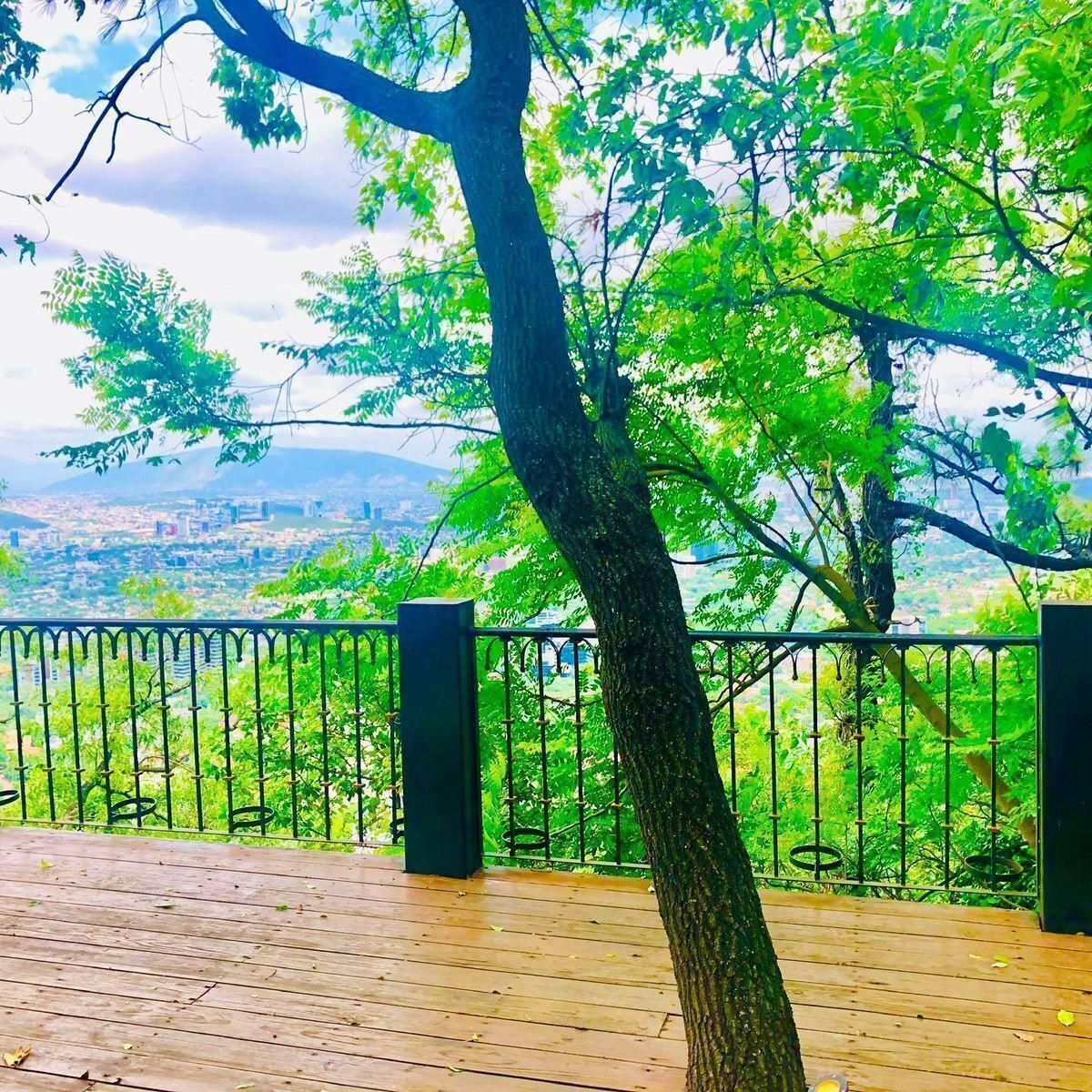 5 de 42