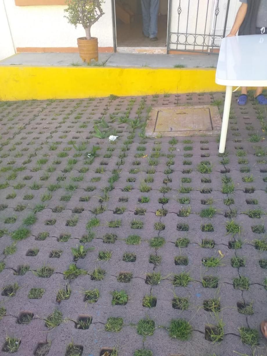 4 de 15