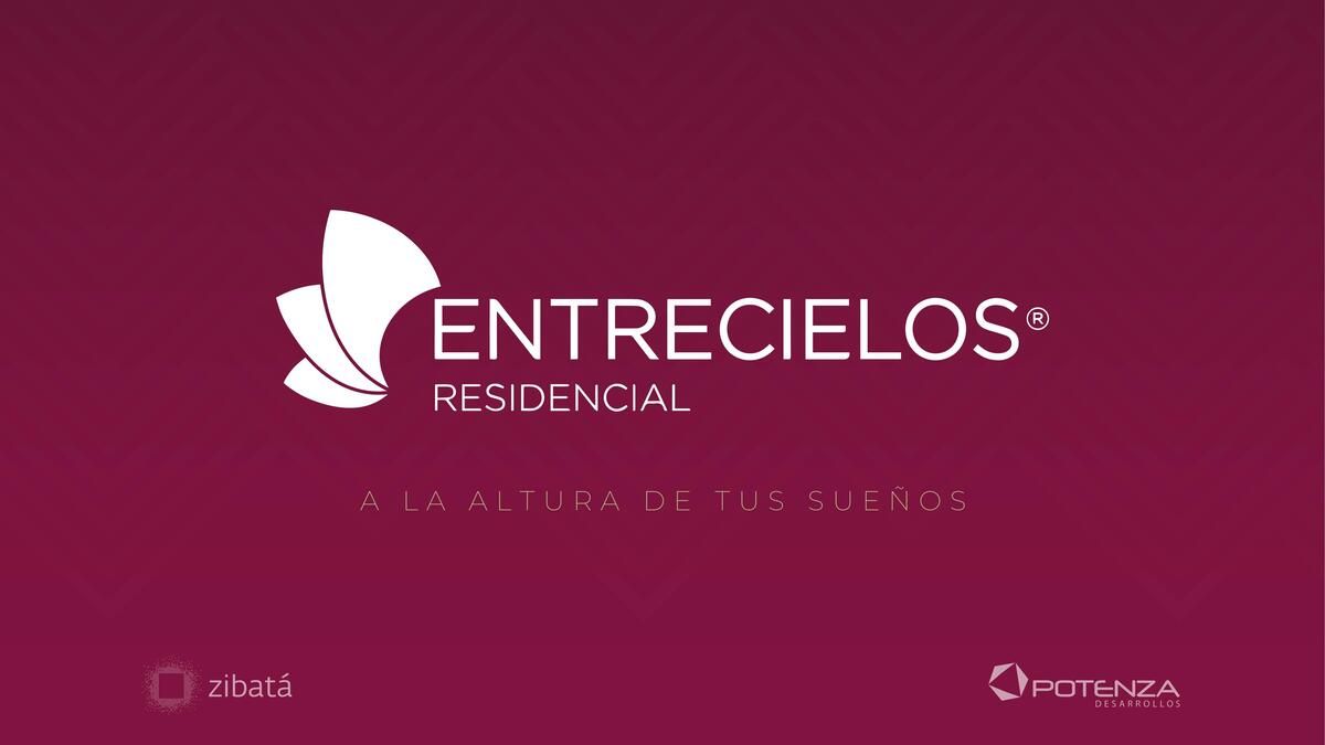 25 de 31
