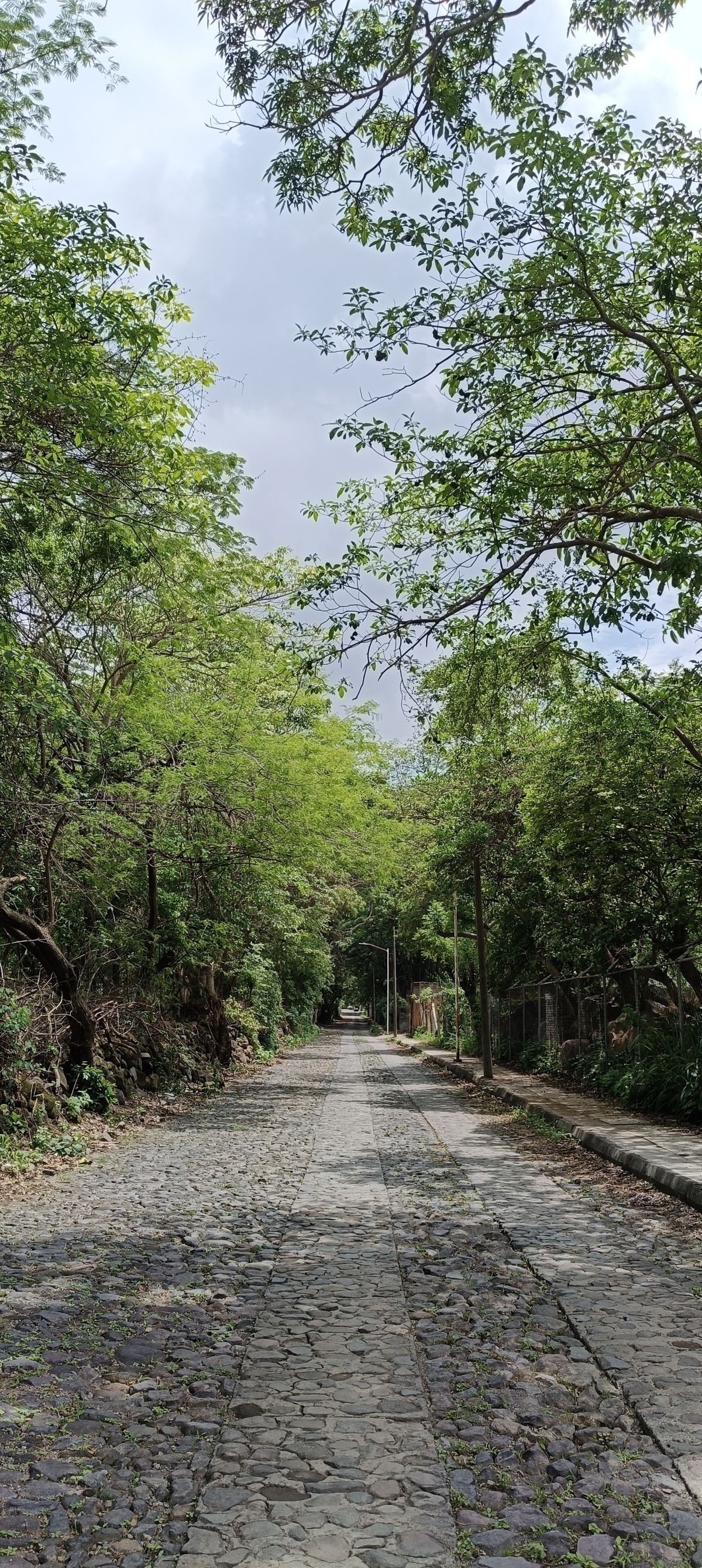 3 de 20