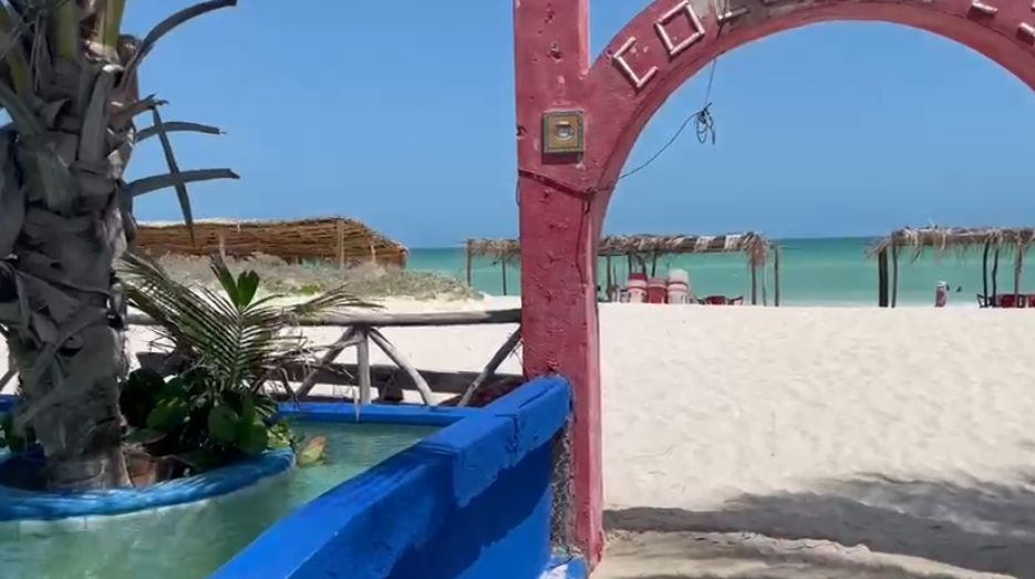 4 de 12