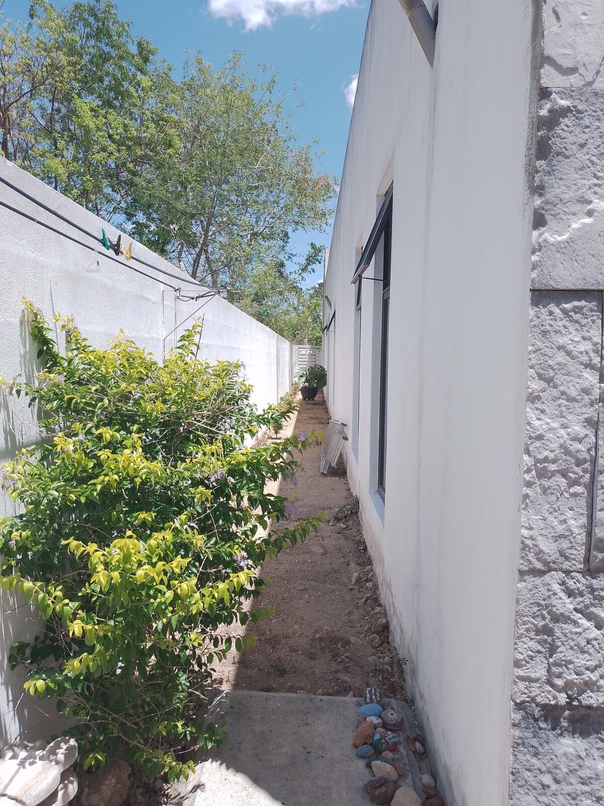 35 de 50