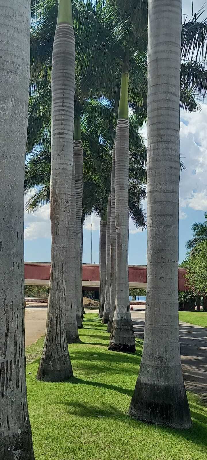 45 de 50