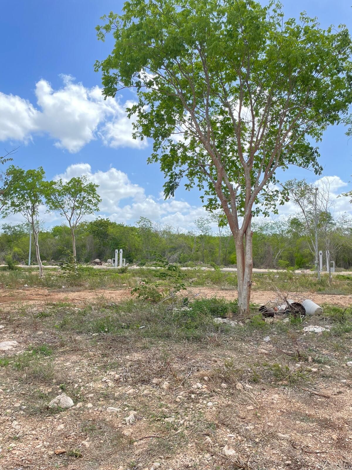 Terreno en venta Cholul