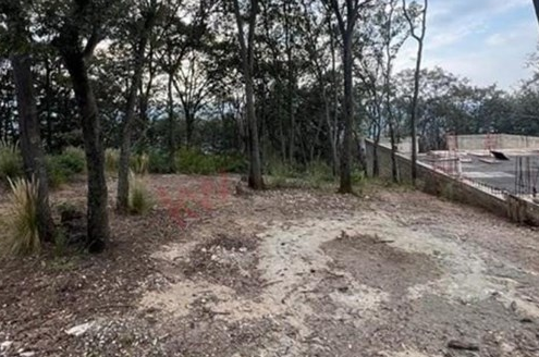 5 de 5
