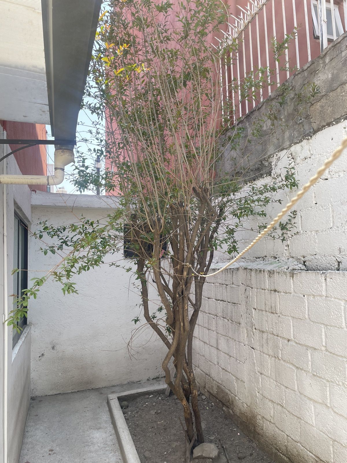 16 de 26