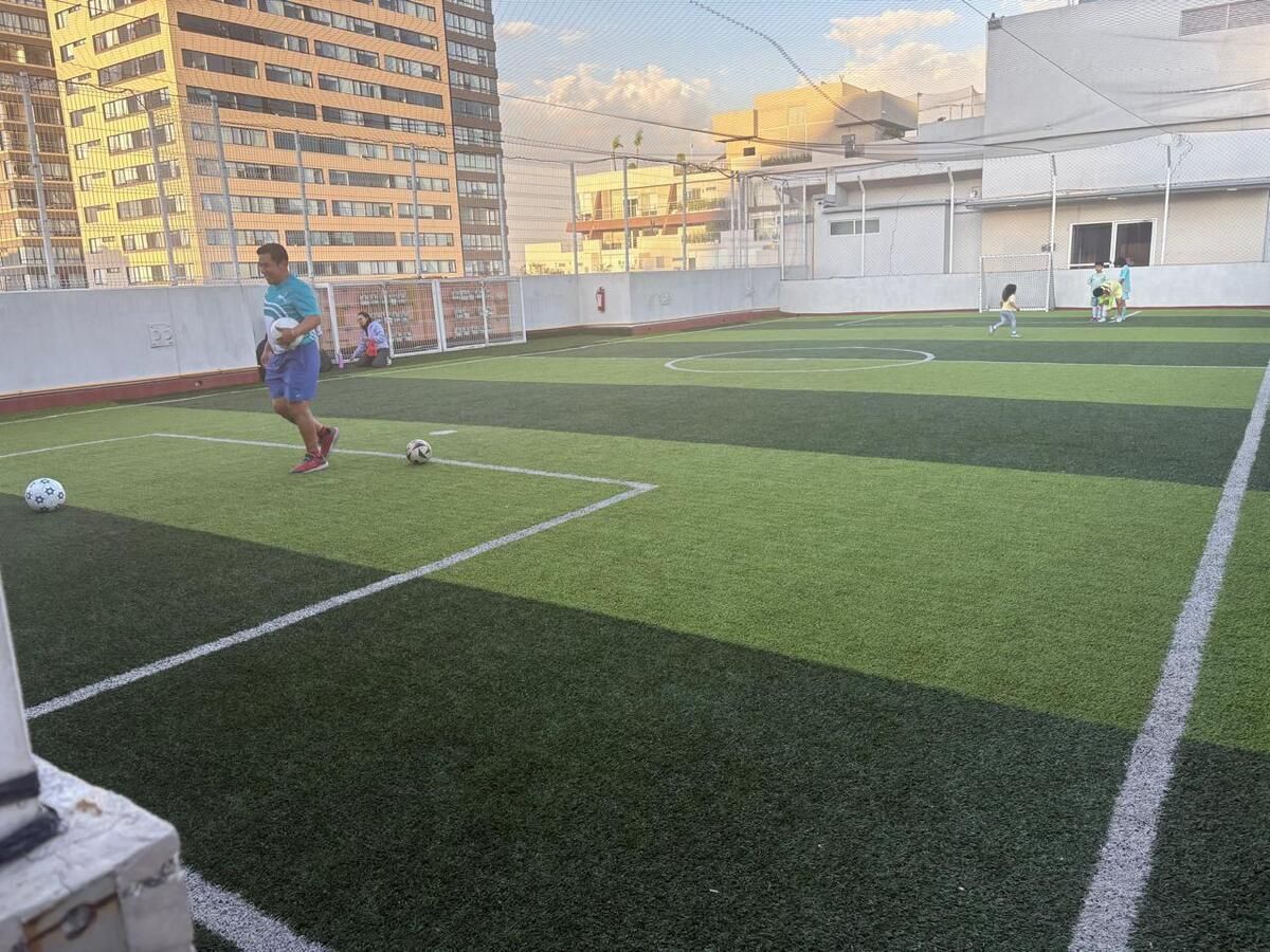 8 de 28